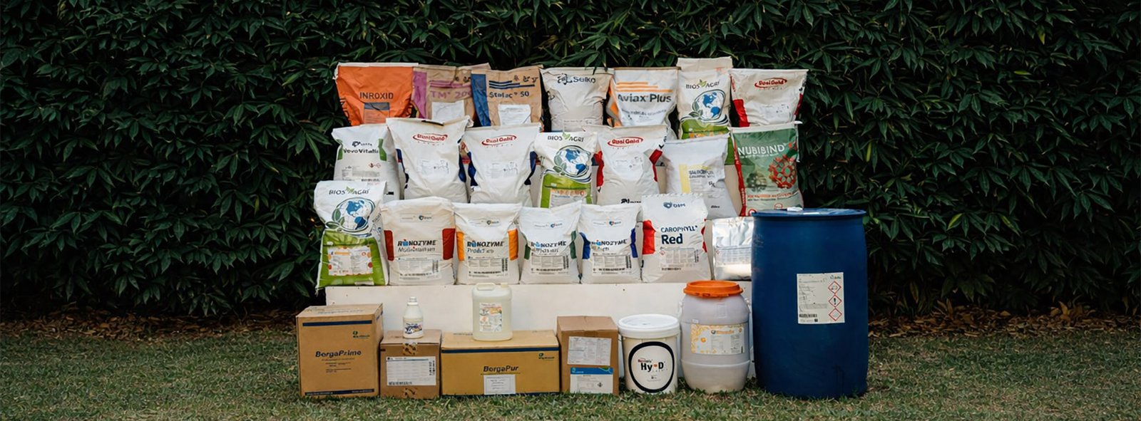 RNT COMPANY INCORPORATED